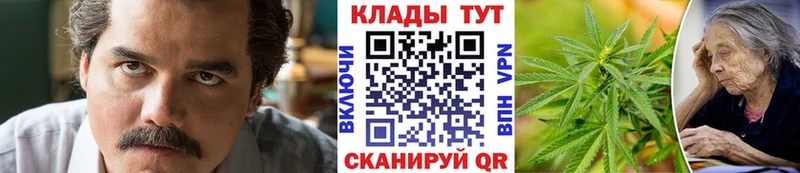 Что такое Карталы Alpha PVP Псилоцибиновые грибы Бошки Шишки Гашиш